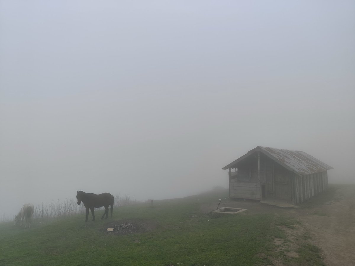 فاما tweet media