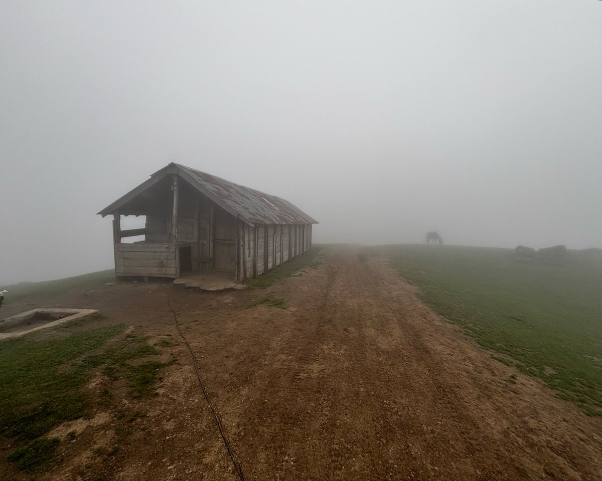 فاما tweet media