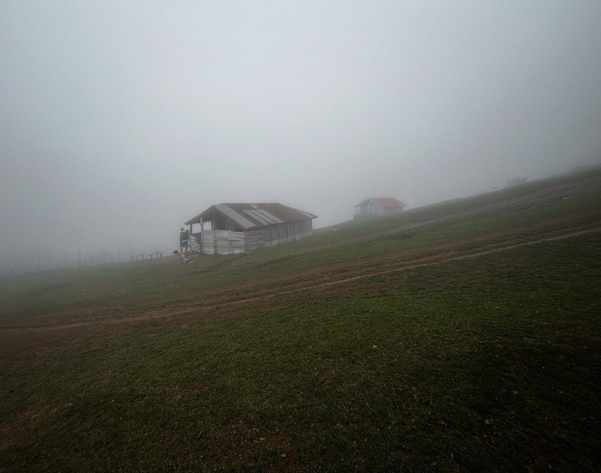 فاما tweet media