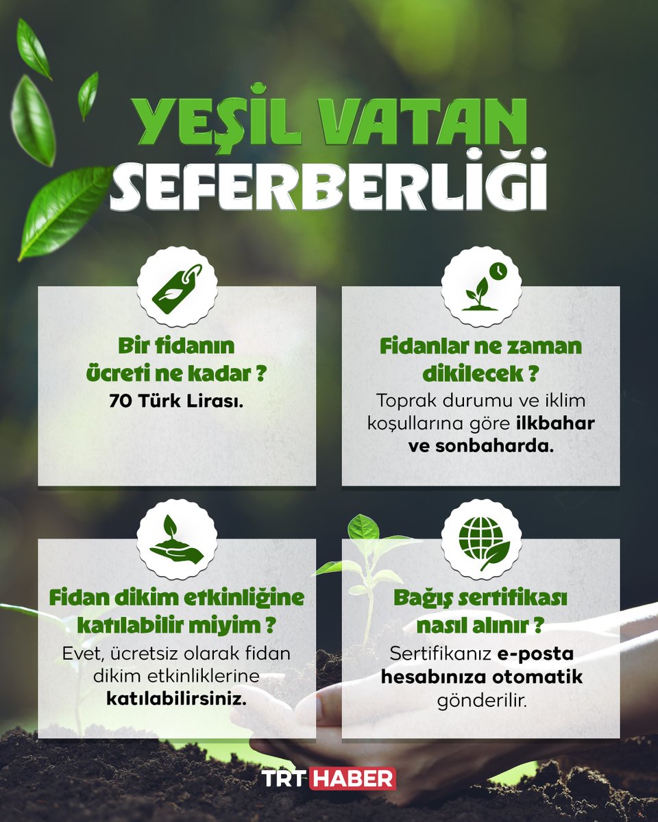 🌳11 Kasım Milli Ağaçlandırma Günü'nde yurt genelinde milyonlarca fidan toprakla buluşacak.

Peki fidan nasıl bağışlanır? İşte merak edilenler…

#YeşilVatanSeferberliği