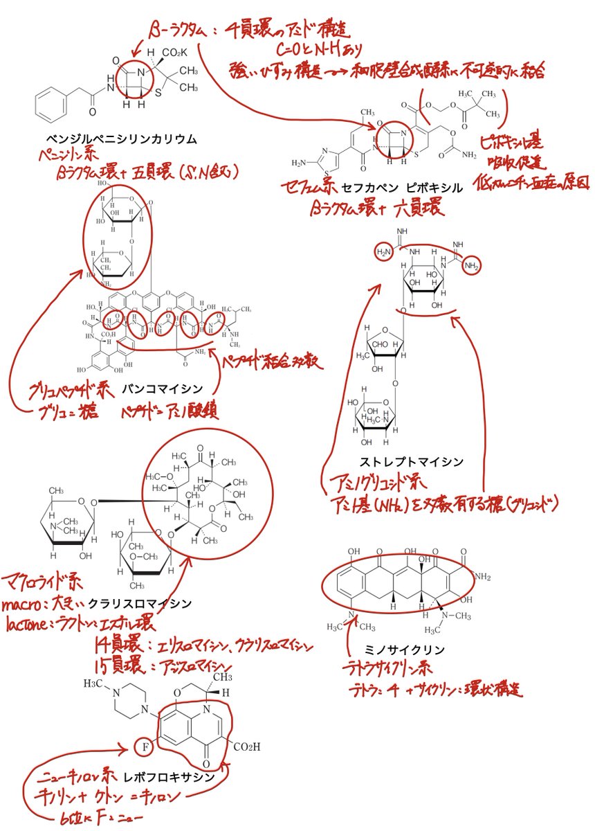 薬学ラボ (@yakugakulab1) / Posts / X