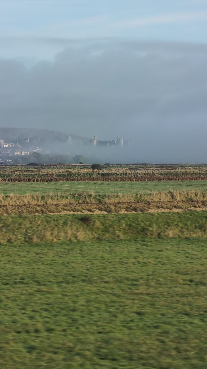 TORQUAYTALK tweet media