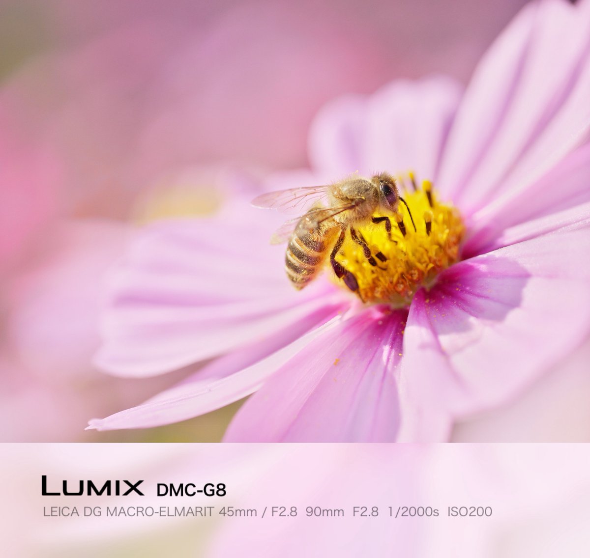 おまとめ　Kosmos様 携帯型電子式吊りはかり【 ハンディコスモII 】 | 吊秤 | 守隨本店