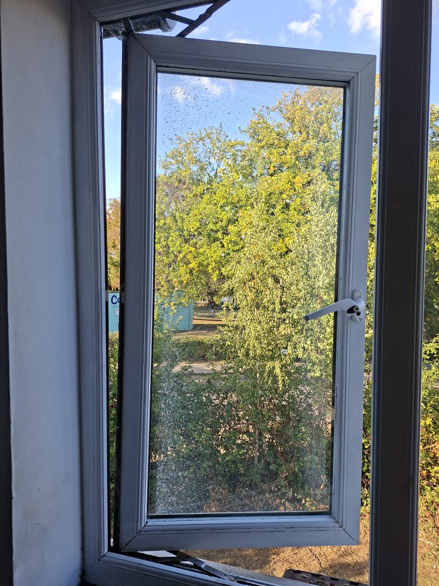 Rasta 🎭 tweet media