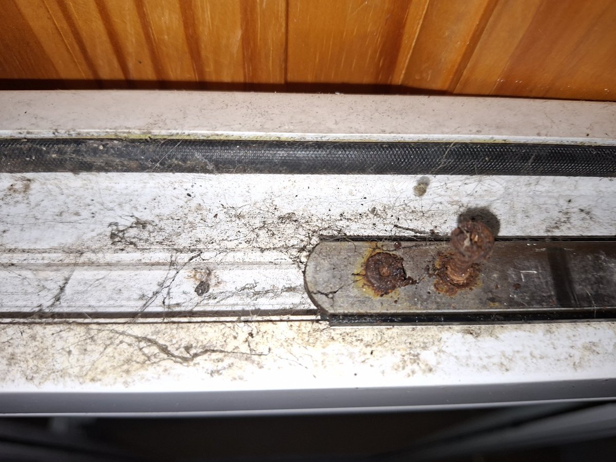 Rasta 🎭 tweet media