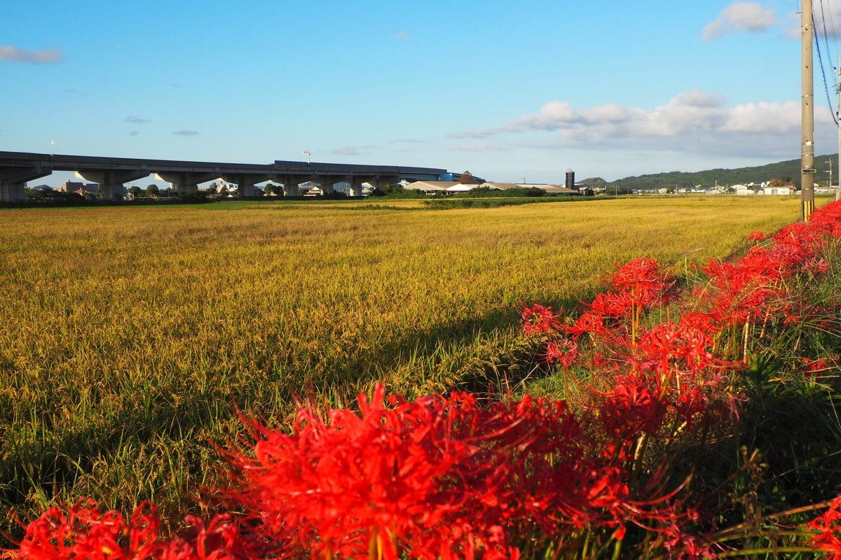 KST🇯🇵🌸👏Ver2 on X