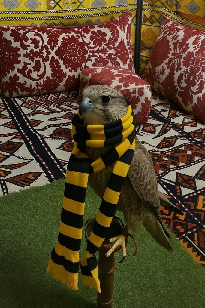 أحبّك حب صقَار لطيره يا اتحاد💛