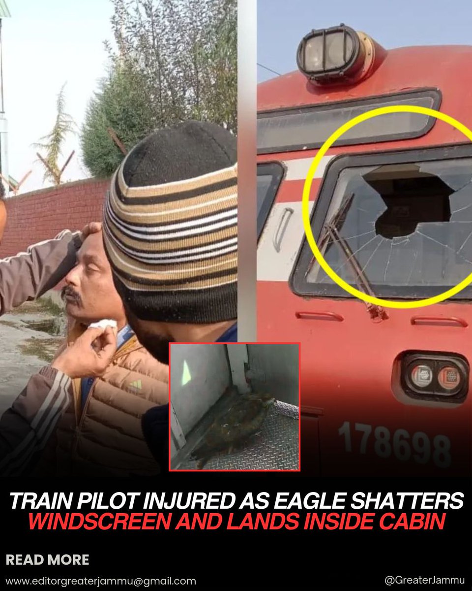 Train Pilot Injured As Eagle Shatters Windscreen And Lands Inside Cabin

#Train #Pilot #Injured #Eagle #Shatters #Windscreen #Train #JammuAndKashmir #greaterjammu

facebook.com/share/p/1F6dSC…