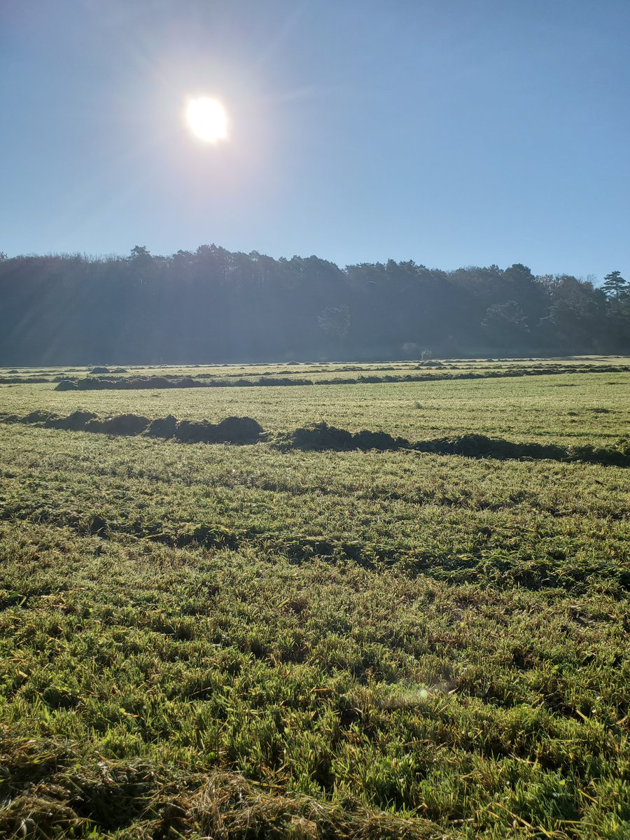 Projet Profipro : protéines de proximité en tenant compte du changement climatique