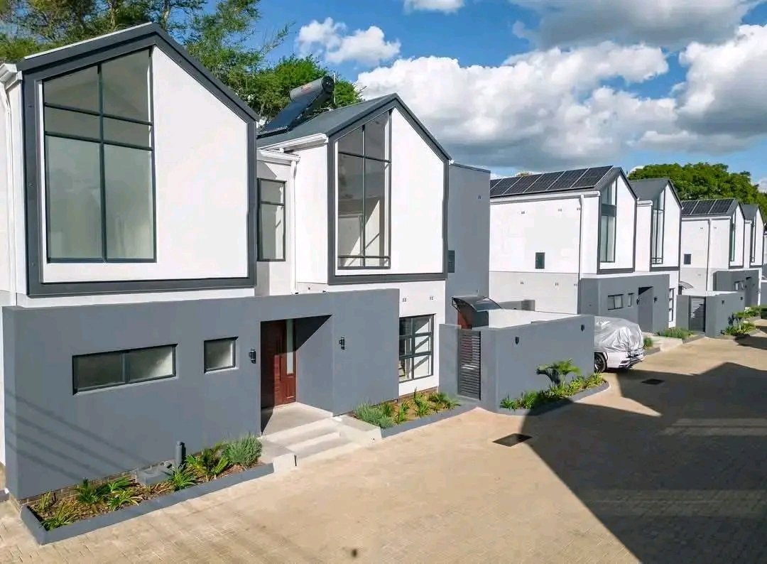 Dandaro Online tweet media