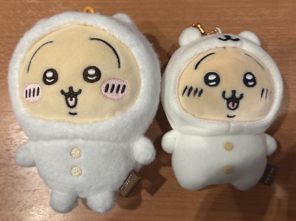 ハチワレと悩んだけどうさぎ！