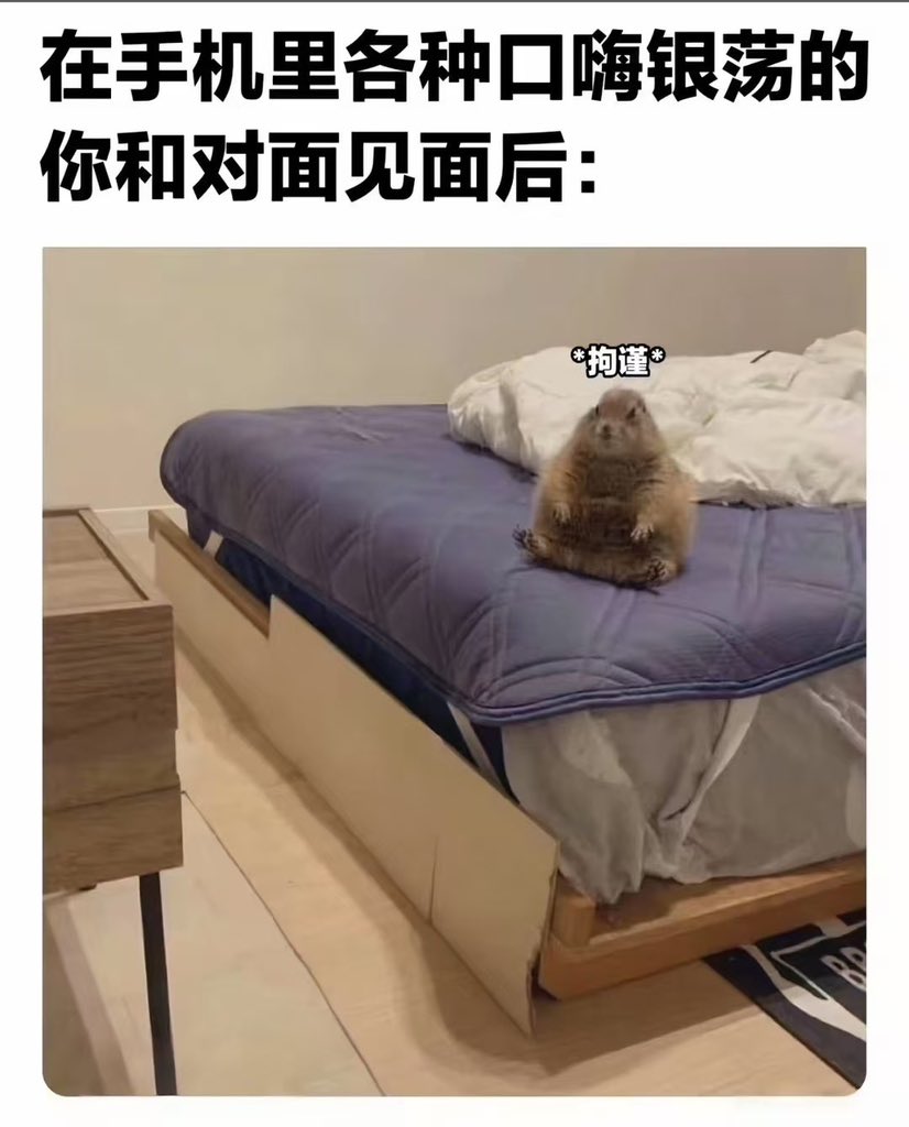 tuitenvwang's tweet photo. 本宝宝： https://t.co/pg2cYcFce6
