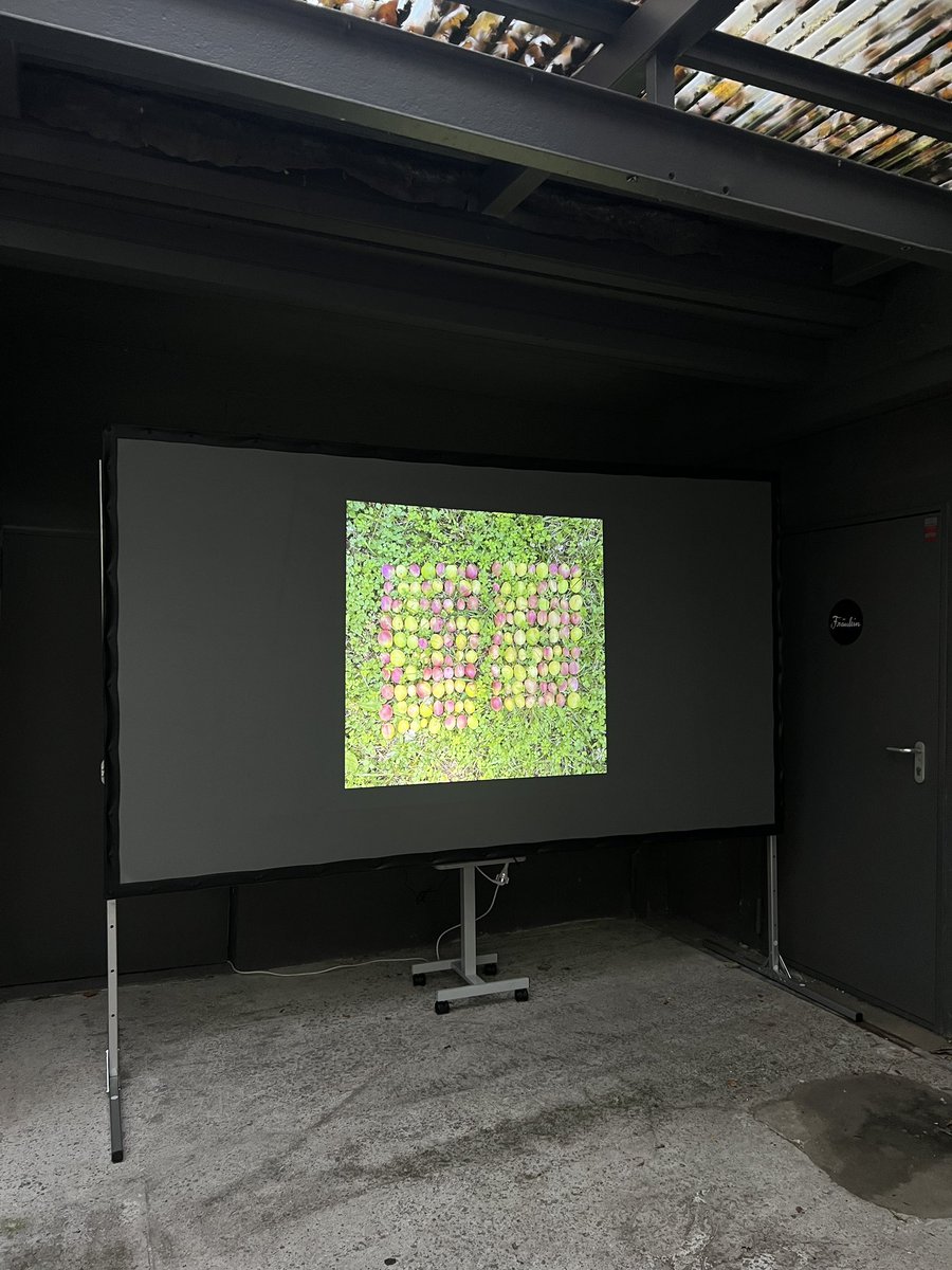 p1xelfool tweet media