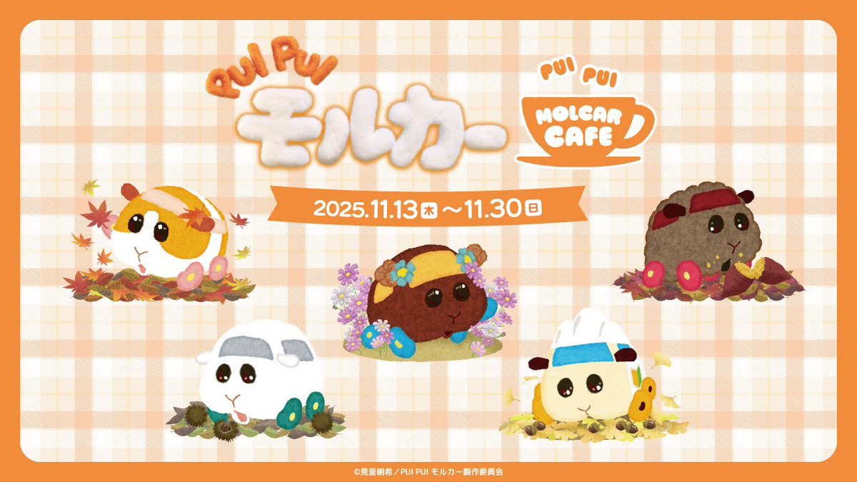 🍁『PUI PUI モルカー』 MOLCAR CAFE🍁

オンラインショップにて、グッズ予約受付中✨ 

🔽詳細はこちら🛒
a.sofmap.com/contents/?id=a…

※2025年11月30日(日)23:59まで
※2026年2月上旬頃より順次発送予定です。

🔽コラボカフェ詳細はこちら☕️
sofmap.com/pages/?id=stel…

#PUIPUIモルカー