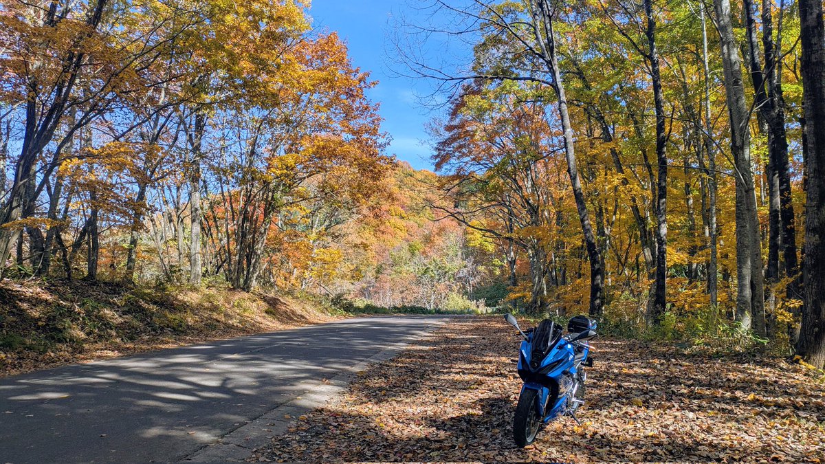 MOTOZIMA【モトジーマ】 on X