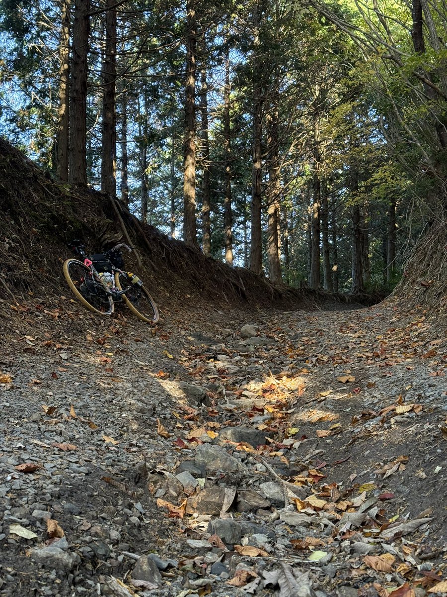 kyotoreds's tweet photo. 大見尾根林道😊🚴🏽
廃軽トラさんがいなくなってた。。。😭 https://t.co/VS2synEgLW