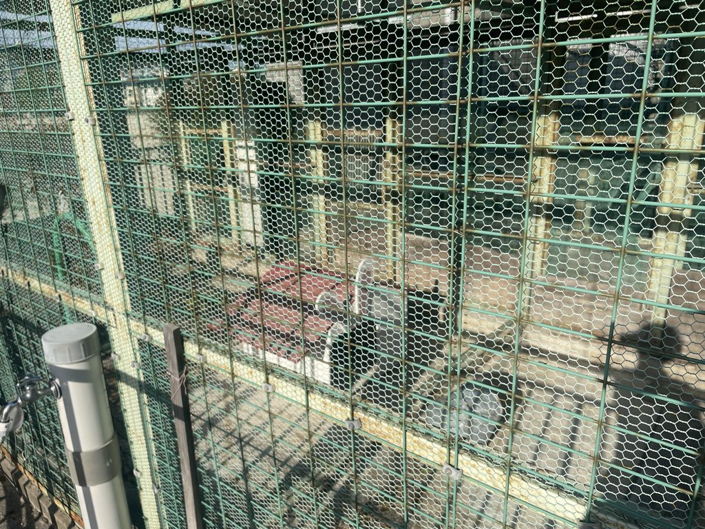 しゆ (@pin_ore) on Twitter photo 