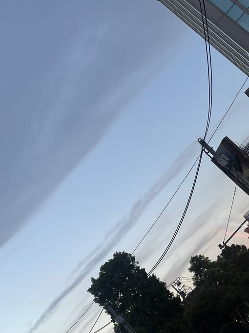 てちゅ☆てちゅのツイート