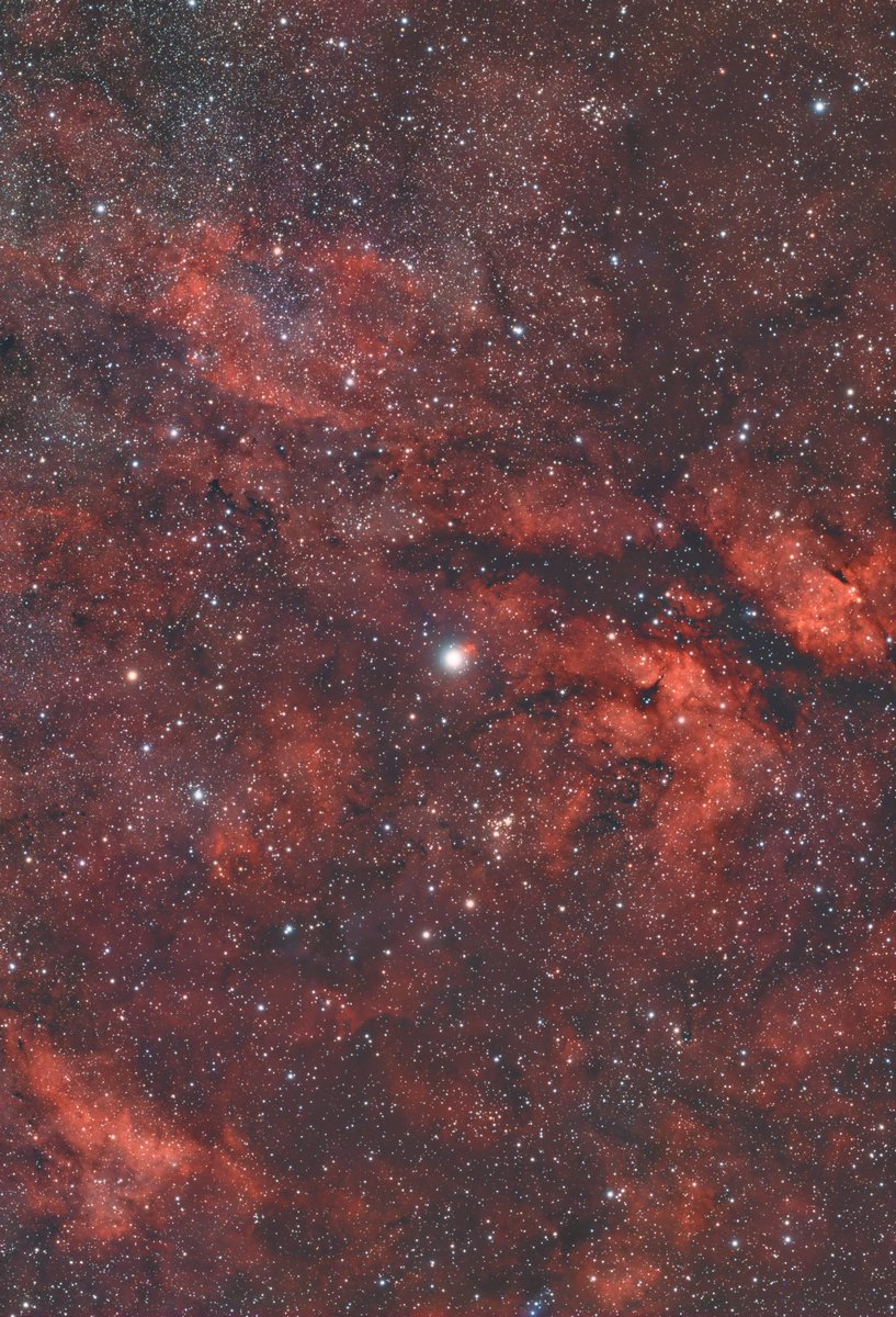 颯ページ つくね on X