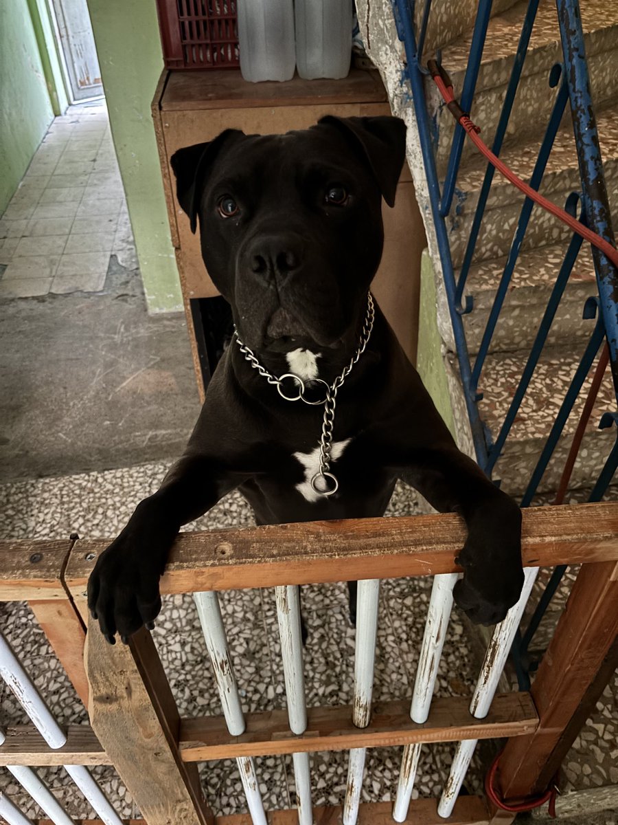 Kim geldi nenesi beni sevmiyecekmi 😒