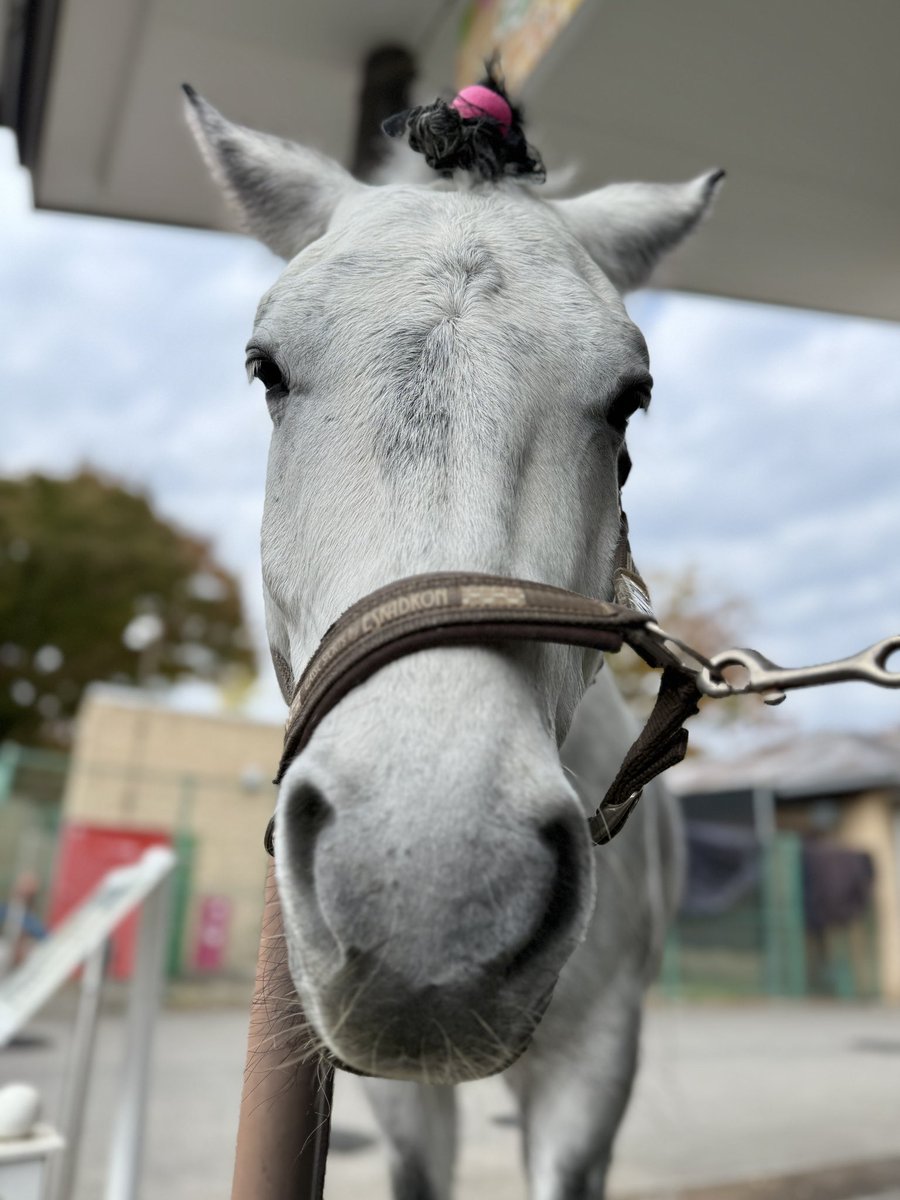 太陽☆様 確認用２(*'▽'*)♪ 太陽