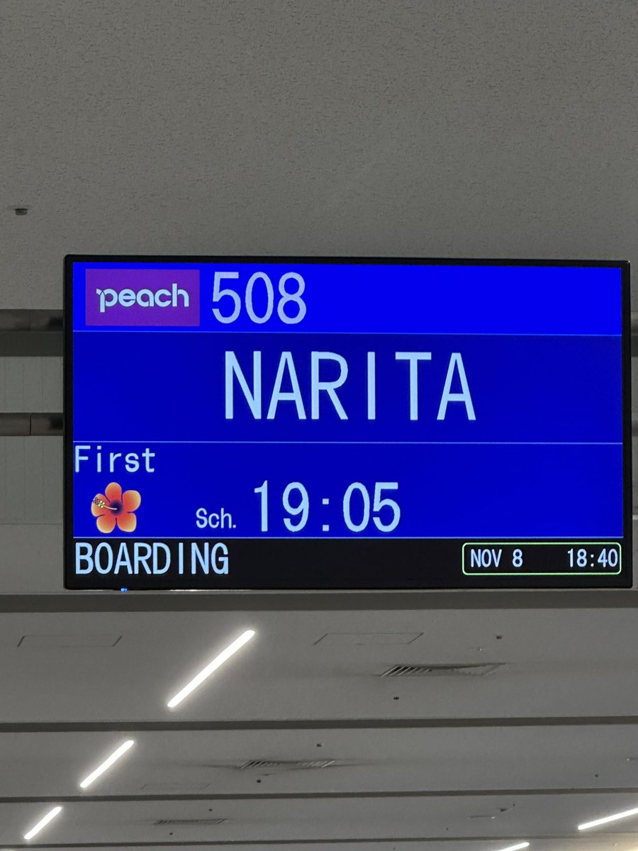 peach様】専用ページ 公式】Peach ピーチ | Peach Aviation株式会社