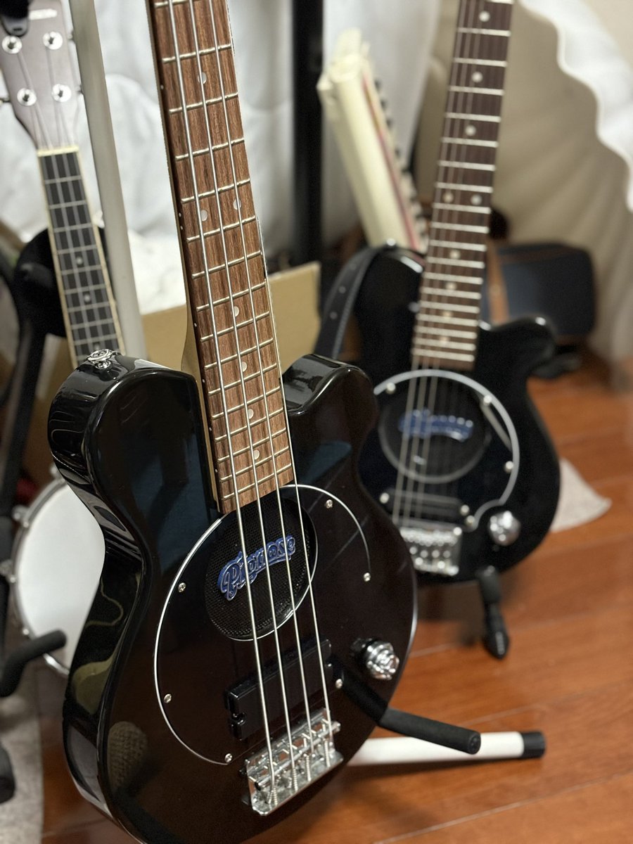 meldblack's tweet image. 買っちゃった。
#ピグノーズ のベースギター🐽

これで #pignose デュオとしてやっていける🐽