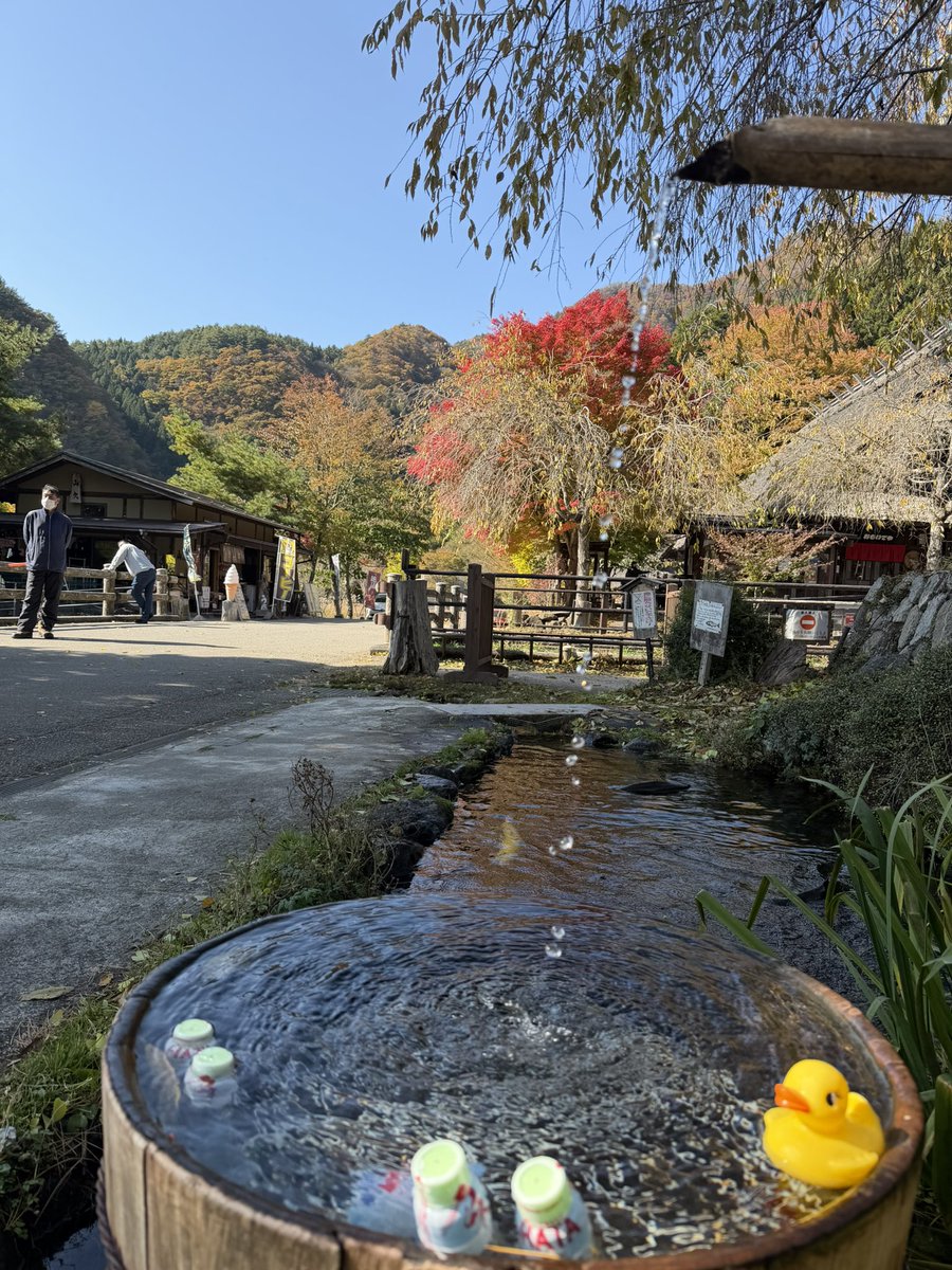 Eta_body's tweet photo. 貴重な晴天を逃せんと思い
久々の弾丸旅行へ😊

紅葉を観に富士五湖付近に到着！

うひゃあああああ！
この快晴と紅葉がエグすぎてたまらん🥹

あと一、ニ週間でより濃くなりそうだけどこの秋晴れで大満足😊

富士山にも雲ひとつない完璧さ。
いやぁ日本は美しい😊

良い旅でした😊

#紅葉 https://t.co/I0eNt2y7Pt