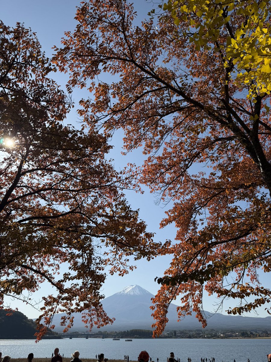 貴重な晴天を逃せんと思い
久々の弾丸旅行へ😊

紅葉を観に富士五湖付近に到着！

うひゃあああああ！
この快晴と紅葉がエグすぎてたまらん🥹

あと一、ニ週間でより濃くなりそうだけどこの秋晴れで大満足😊

富士山にも雲ひとつない完璧さ。
いやぁ日本は美しい😊

良い旅でした😊

#紅葉