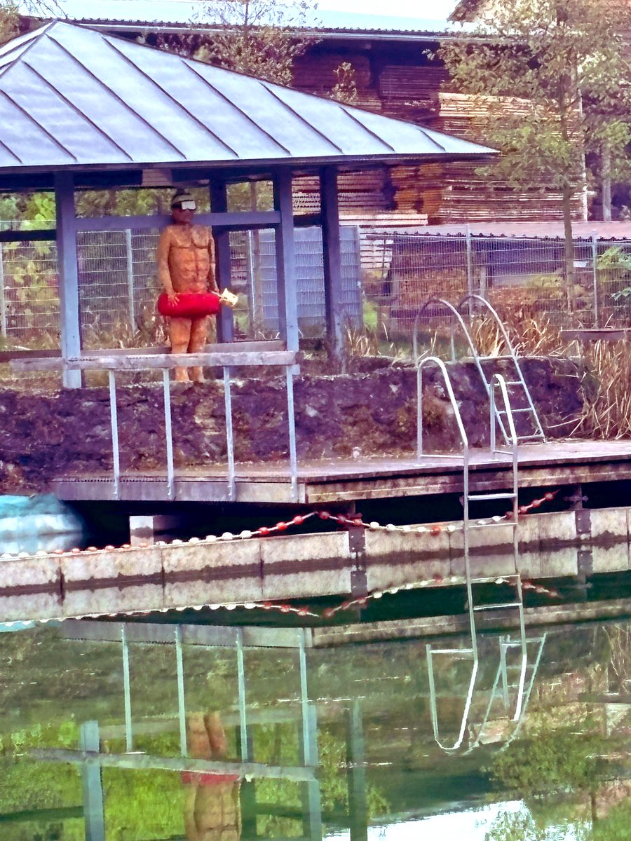 404_Chaos_Queen's tweet image. No words needed… Nature Impressionen 🥰 Balsam für Herz und Seele ♥️ 

#DogWalk #NatureLove #MeTime #Love