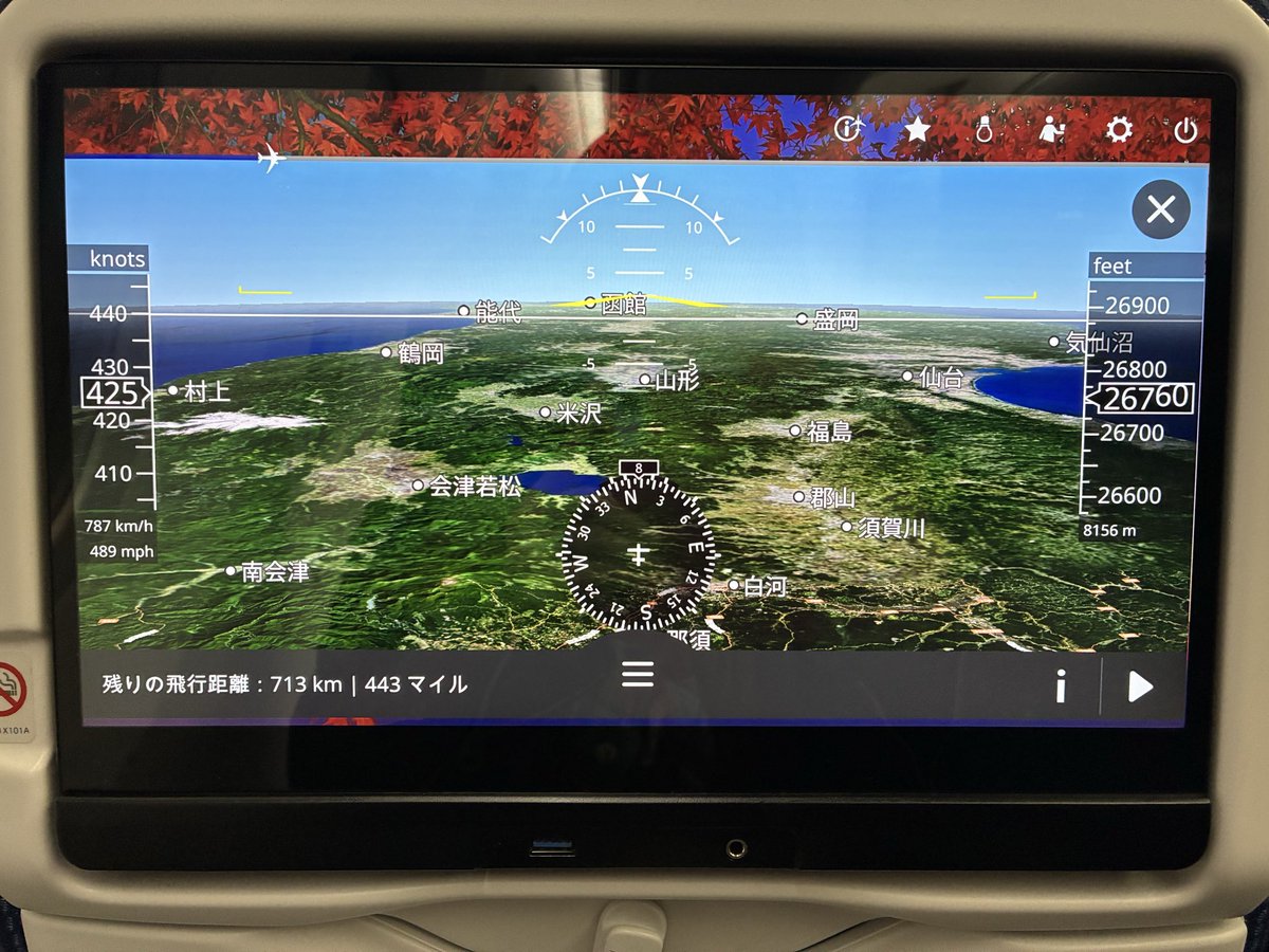 モニター付き座席で楽しく遊んでる