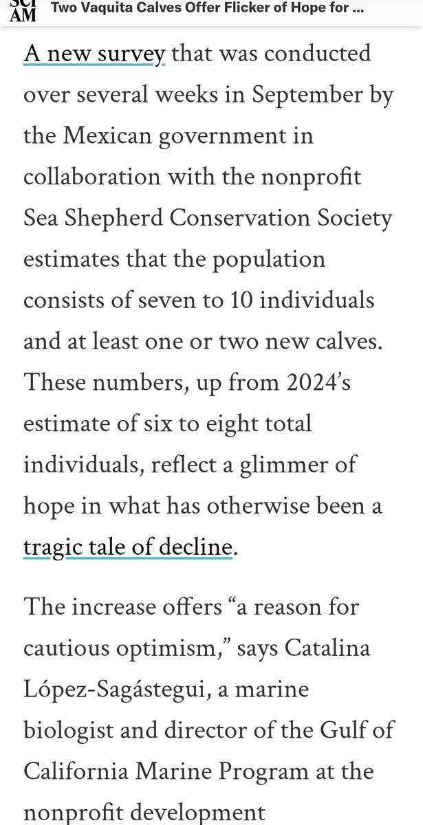 ♻️A #Flicker o #Hope 4 the #World’s #Rarest #Porpoise. The #latestreport shows that the #estimated number o #endangered #vaquitaporpoises has #modestly #increased🛤️

#Endangeredspecies #Conservation #GulfofCalifornia #BajaCalifornia #Mexico #StreetTreck🛤️ 
scientificamerican.com/article/two-va…