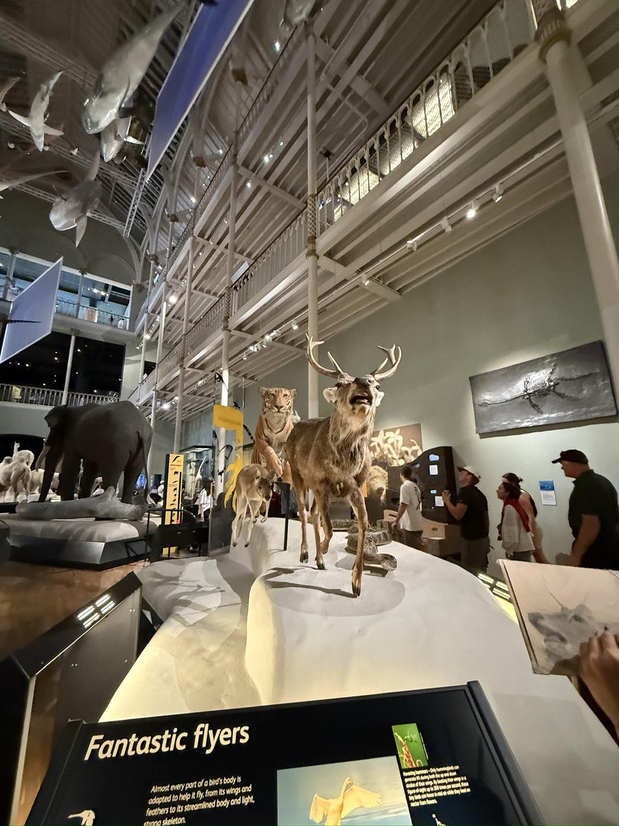 榛名_改十九火羽焚天（春节快乐版）🦌 tweet media