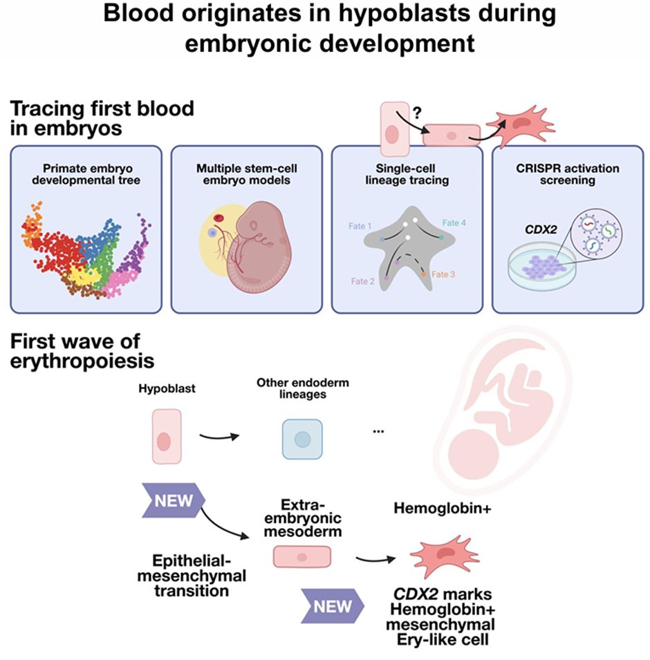 Rio Sugimura tweet media