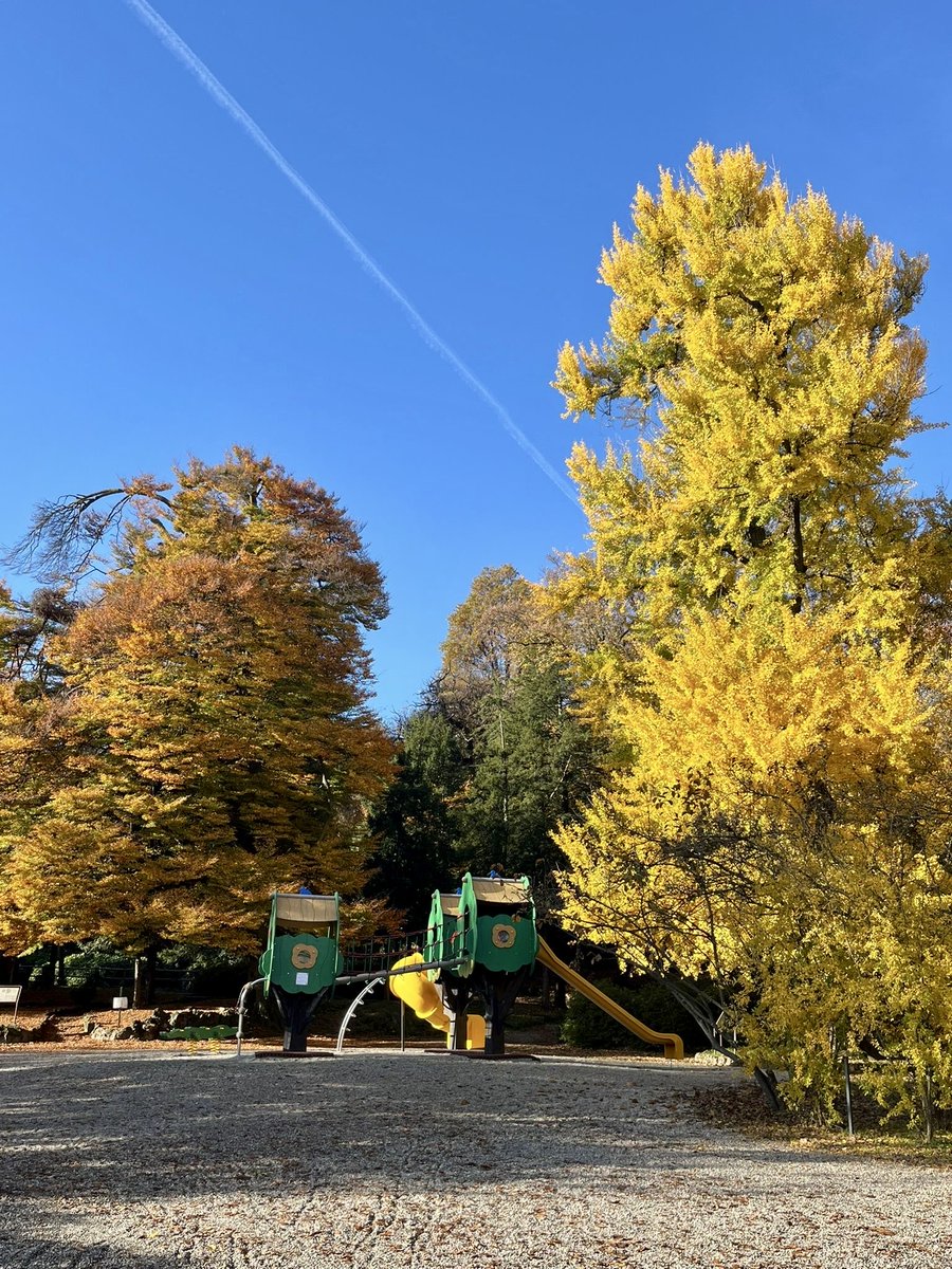 Comune di Varese tweet media