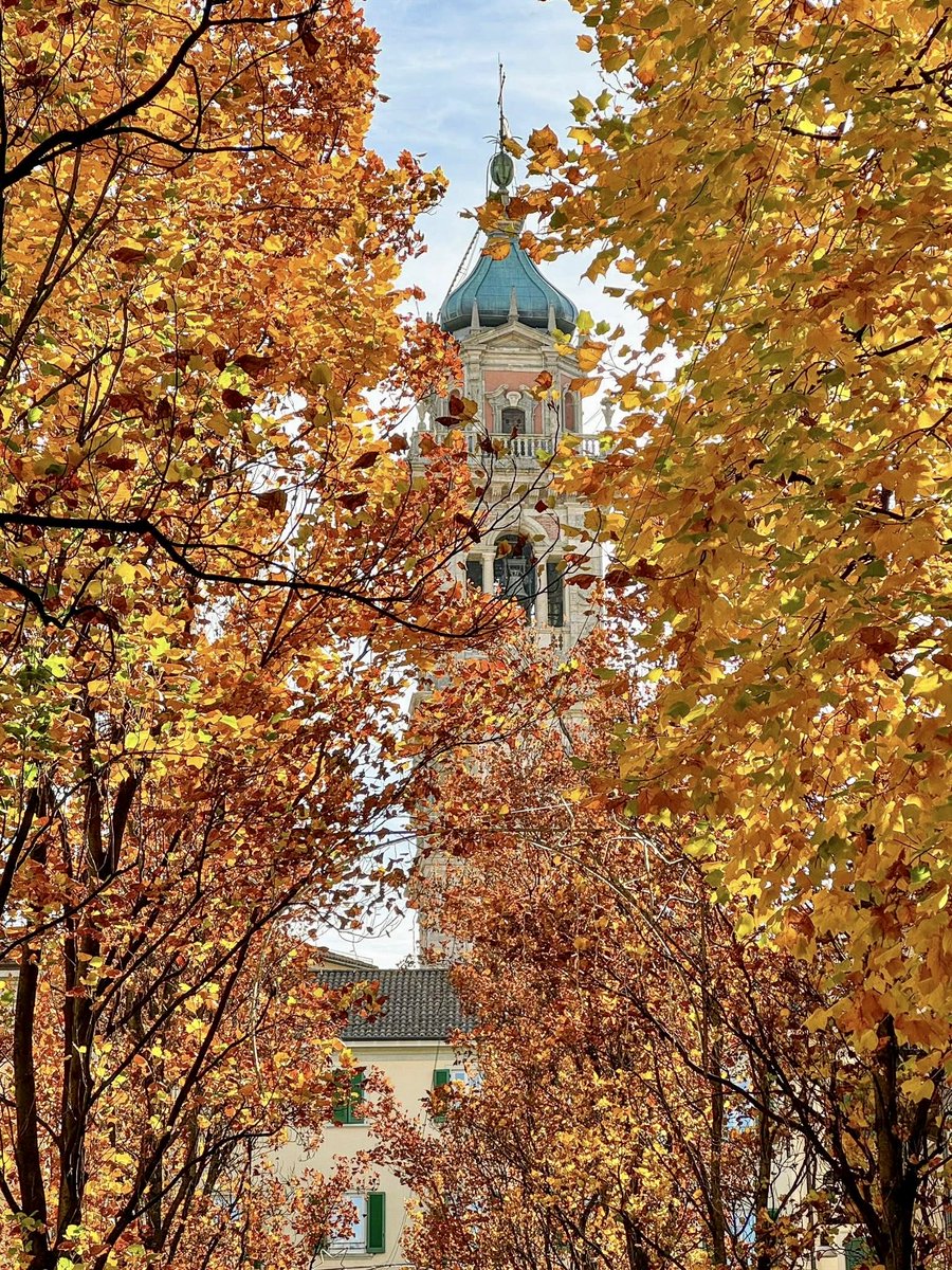 Comune di Varese tweet media