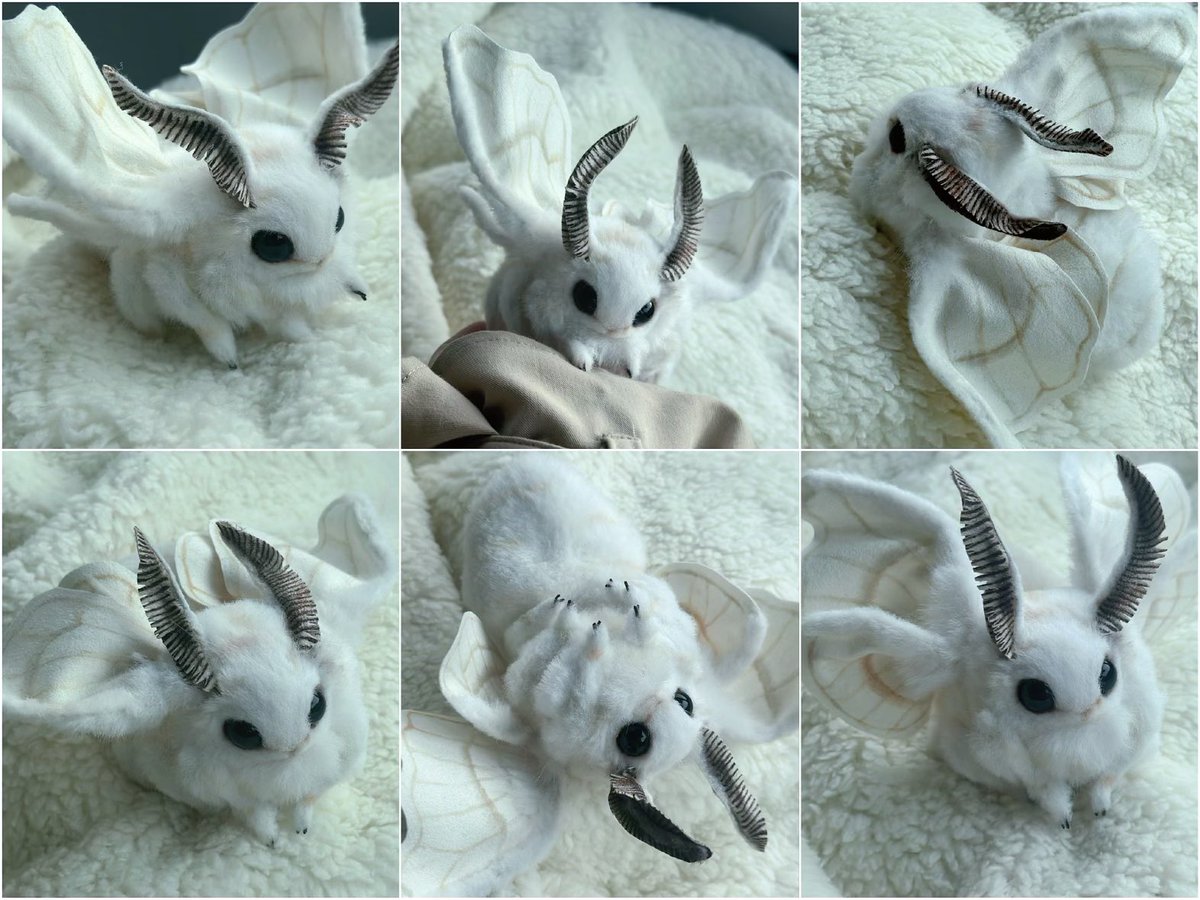 しゃこちゃんあん🐮🦍🙈💋💴👍🍓🕳️ (@syako63) / Posts / X