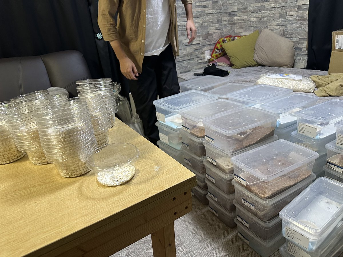 chappi_python's tweet image. 明日のジャングルハンター岡山に備えてパッキング中です🫡