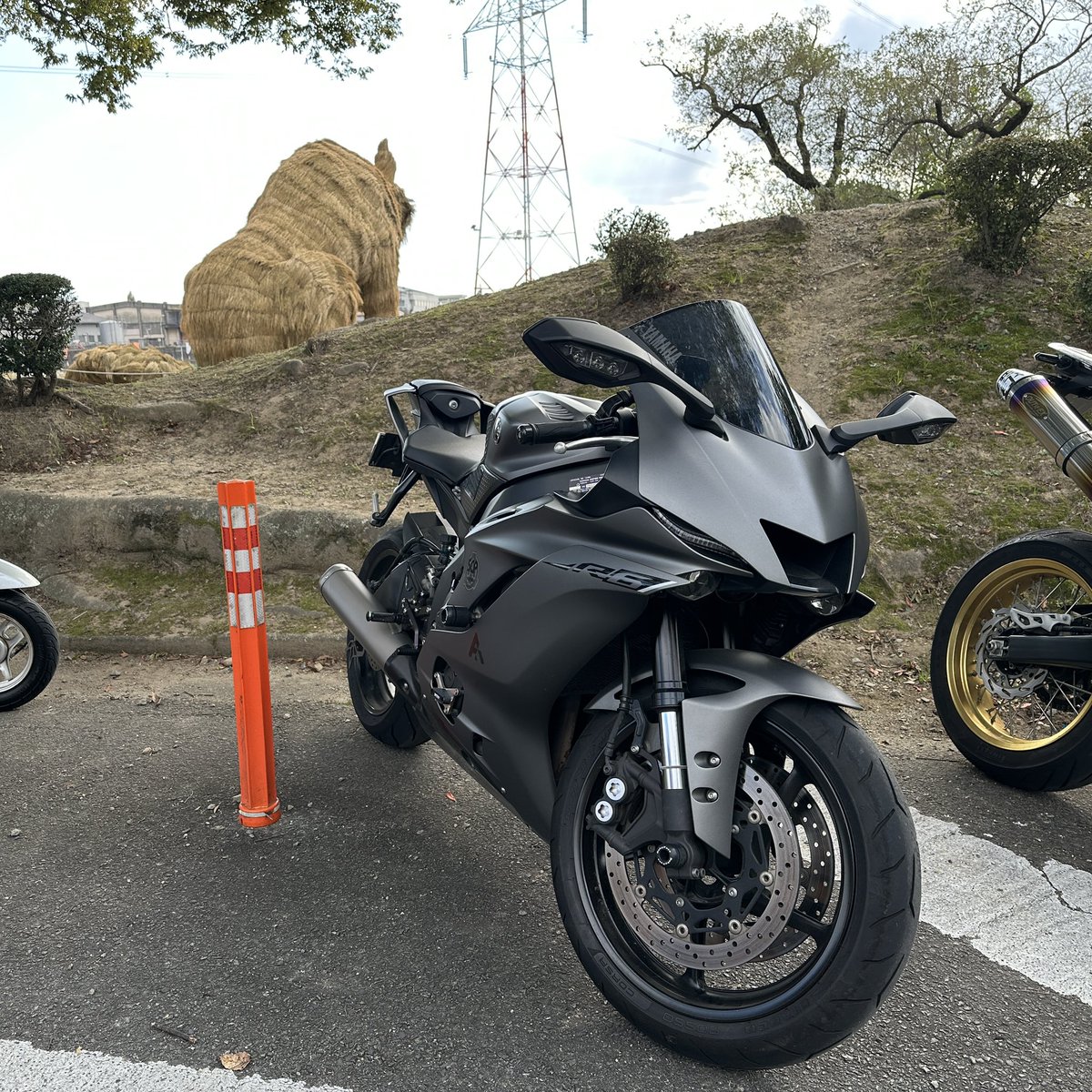 涼しくなったからめっっっっっちゃ久々にバイク乗って山犬見てきた🏍️