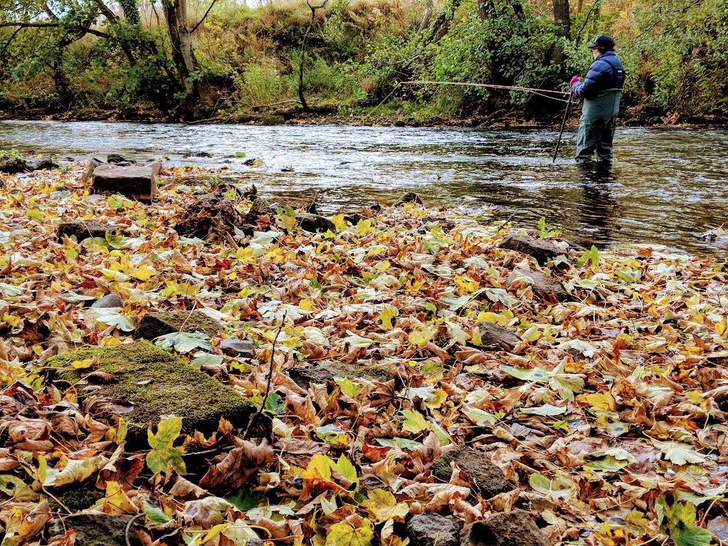 Cold water, slow drifts, and quiet banks.
This time of year, every take feels earned.
#FlyFishing #BeingThere #PeaksFlyFishing #FlyFishing