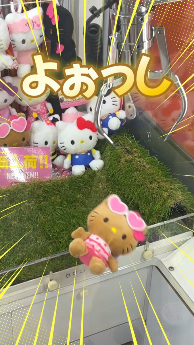 もうりさんち🏠 on X