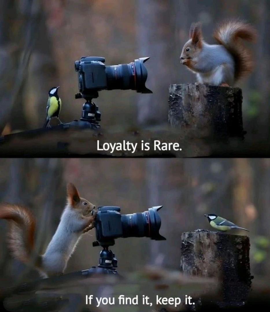 urbanchic9ja's tweet image. Just like good fabric, loyalty doesn’t fade.
You either weave it in, or it tears apart. 🪡

#DesignerThoughts #Loyalty #loyaltyNRoyalty #LoveIsBlindS9 #LoveYourW