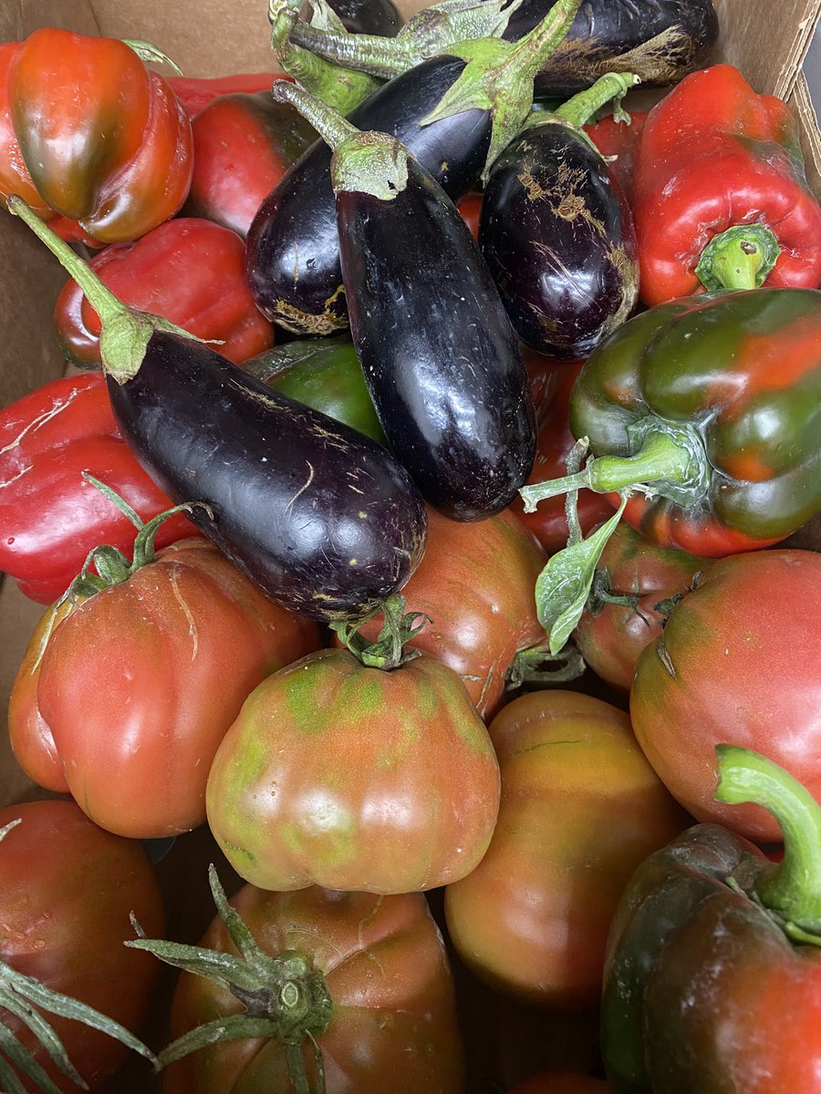 egcalonge's tweet photo. 🍅🍆🫑

#espaigastronòmiccalonge #tursimecostabrava #costabravaturisme #catalunyaturisme #turismecatalunya #turismeempordà #empordaturisme #costabrava #km0 #productesdeproximitat #productedeproximitat #productekm0 #producteproximitat #productesproximitat #empordàturisme https://t.co/ZjpRzgll5M