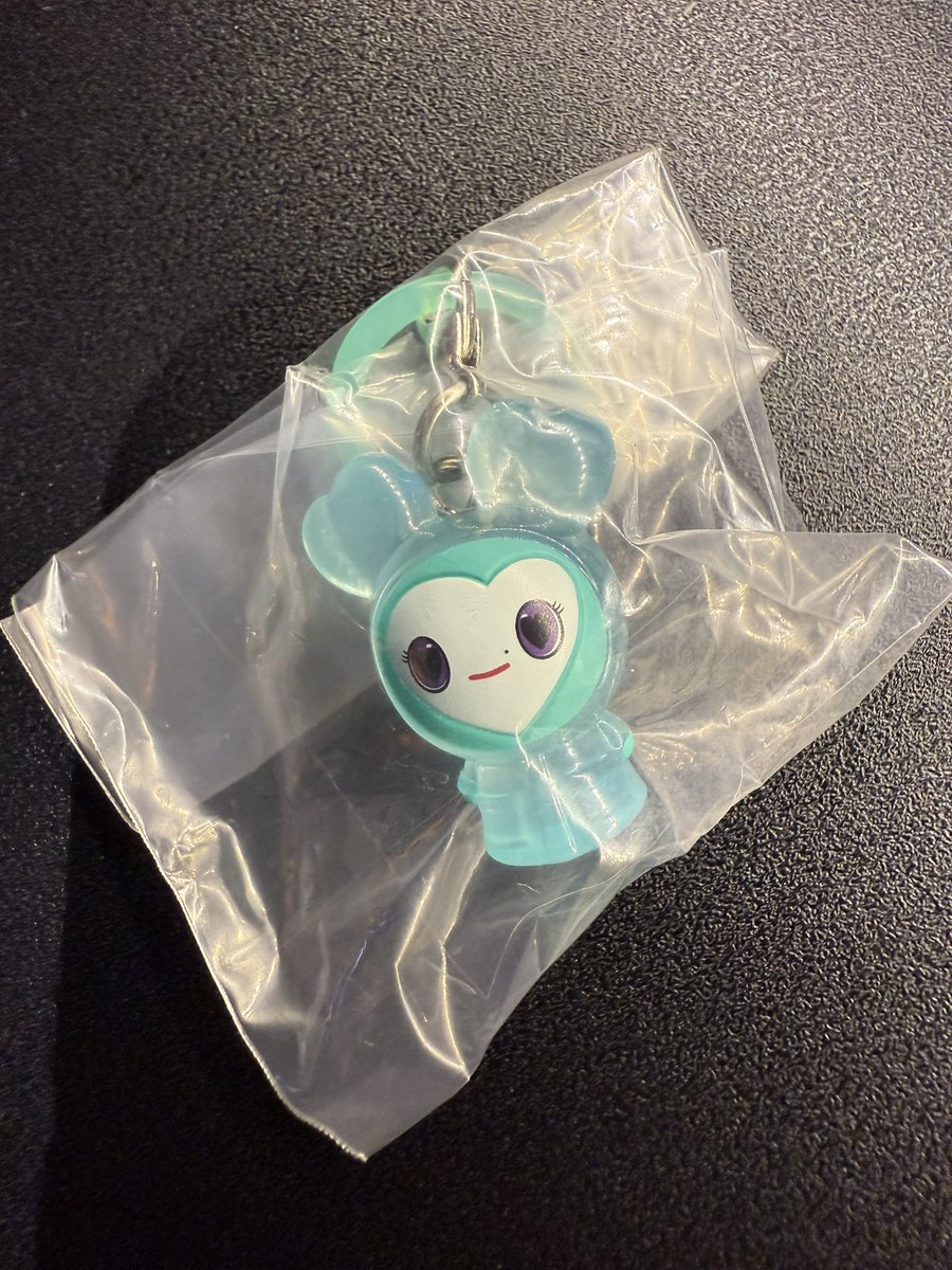 TWICE めじるしチャーム ガチャ
めじるしアクセサリー 交換

譲 ダヒョン
求 モモ

お声掛け下さい🙇‍♀️