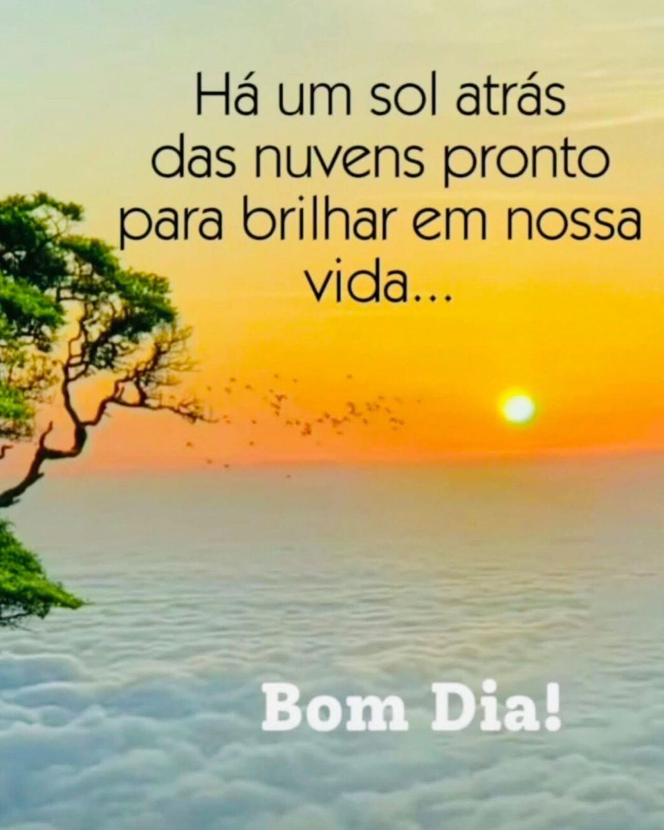 ❤️Missionária Sandra tweet media