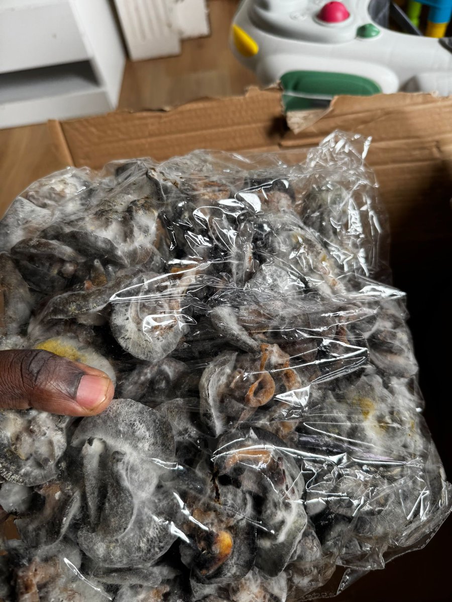Ajokeaadee's tweet photo. 💔💔 It all started around June, when there was a flight delay and everything I sent to the UK got spoiled. The people who ordered from me asked for refunds, and I had to return their money in full. For one of them who didn’t collect a refund, I sent another package and even paid the shipping fee again myself.

I sent packages to about four people at that time, and I’m still paying off the debt till today. Then it happened again two days ago, this time with a shipment to the USA, and from a different company entirely. The same kind of loss, all over again.

Honestly, the loss is huge. I don’t even know how to go about it anymore. I’m just tired. Customers don’t understand that it’s not my fault… I’m really just doing my best to stay strong.

I’ve sent over 50 to 60 shipments this year alone, but only these caused losses they wiped out all my gains.💔