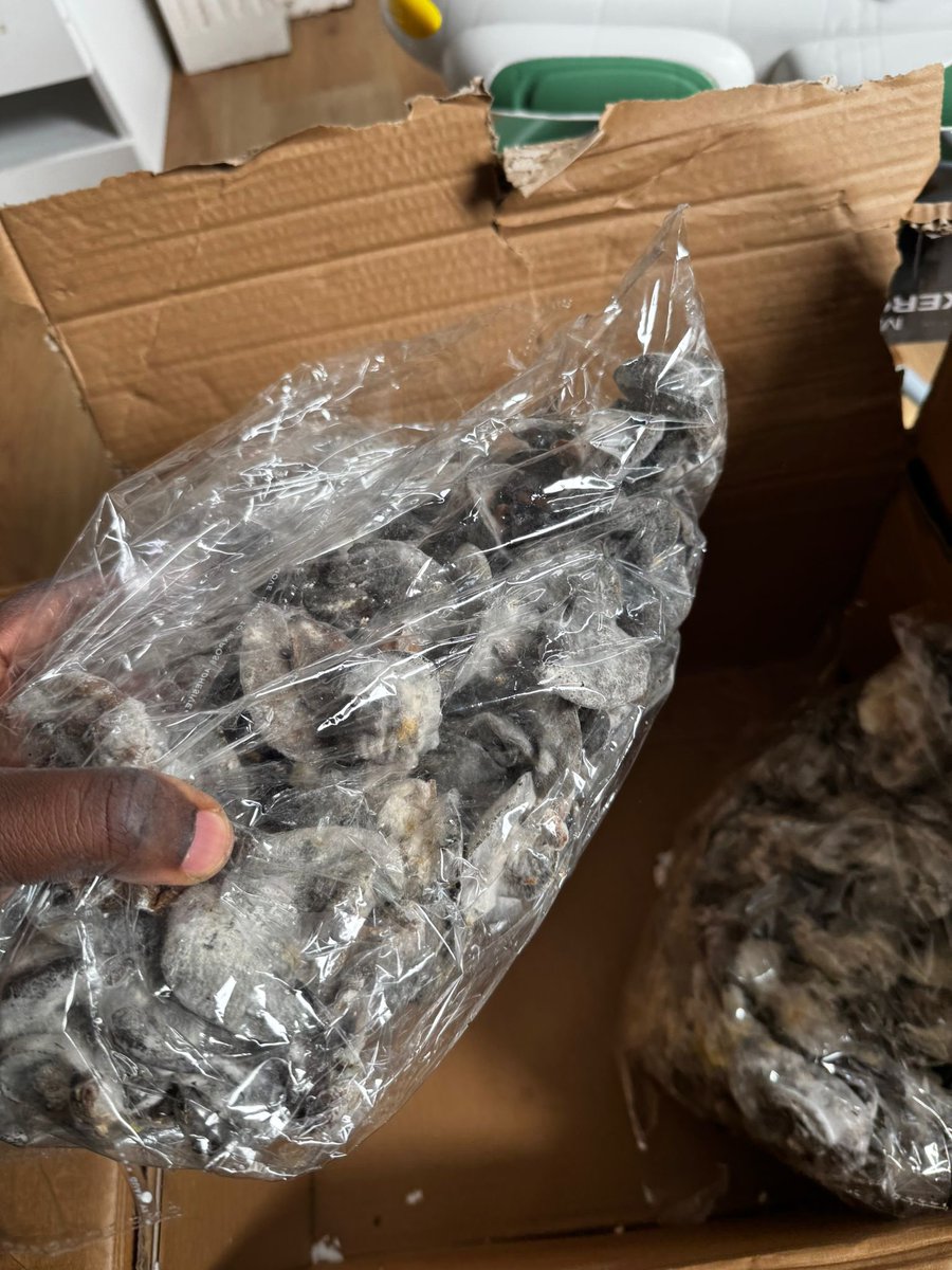 Ajokeaadee's tweet photo. 💔💔 It all started around June, when there was a flight delay and everything I sent to the UK got spoiled. The people who ordered from me asked for refunds, and I had to return their money in full. For one of them who didn’t collect a refund, I sent another package and even paid the shipping fee again myself.

I sent packages to about four people at that time, and I’m still paying off the debt till today. Then it happened again two days ago, this time with a shipment to the USA, and from a different company entirely. The same kind of loss, all over again.

Honestly, the loss is huge. I don’t even know how to go about it anymore. I’m just tired. Customers don’t understand that it’s not my fault… I’m really just doing my best to stay strong.

I’ve sent over 50 to 60 shipments this year alone, but only these caused losses they wiped out all my gains.💔