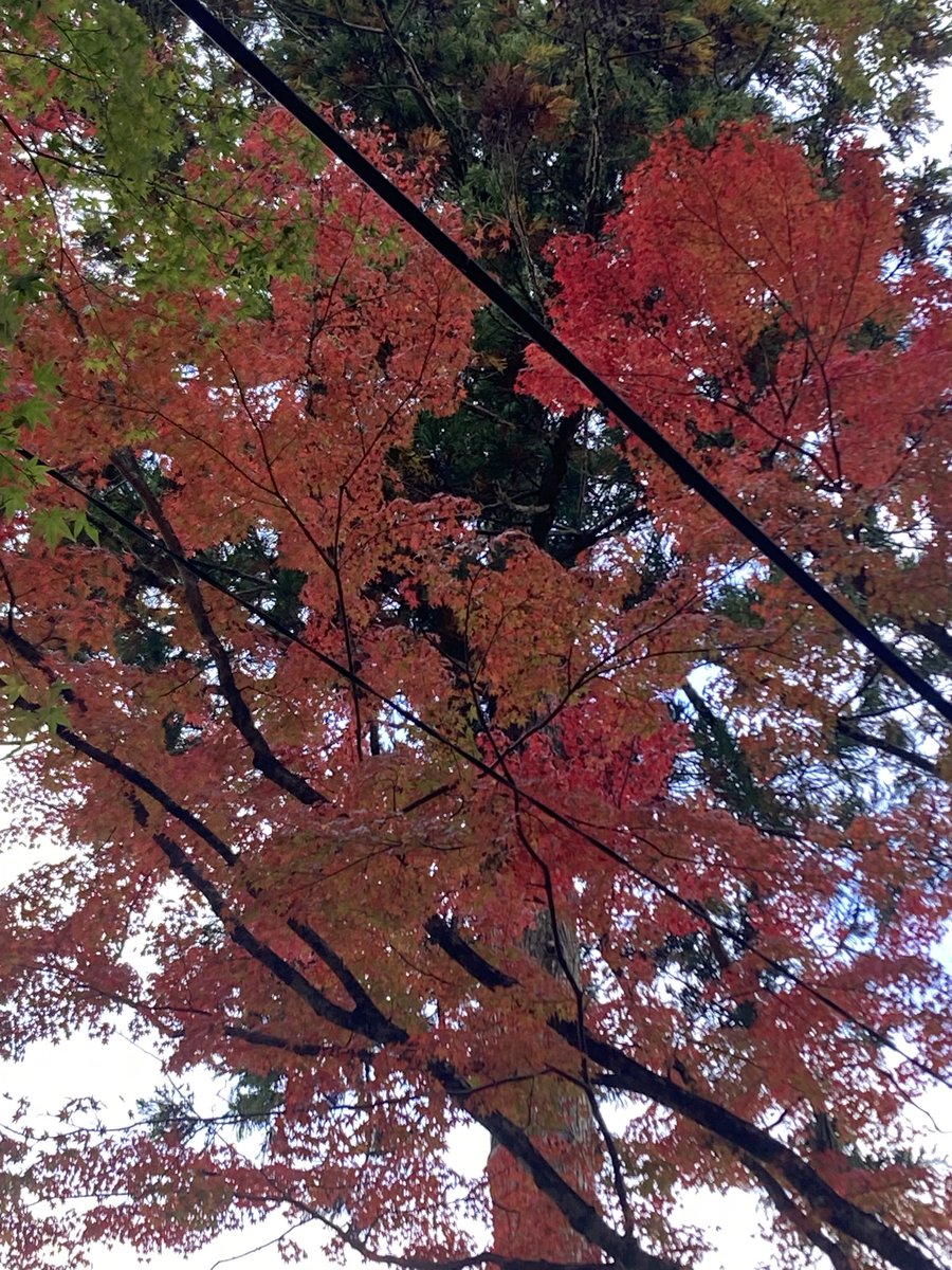 shiki0328's tweet photo. 『For me, with you』 精神いいな。
まずは自分のために。そして周りも一緒に。娘の名前に込めた想いと同じ。

#紅葉 #秋 https://t.co/NsA54kJrPl