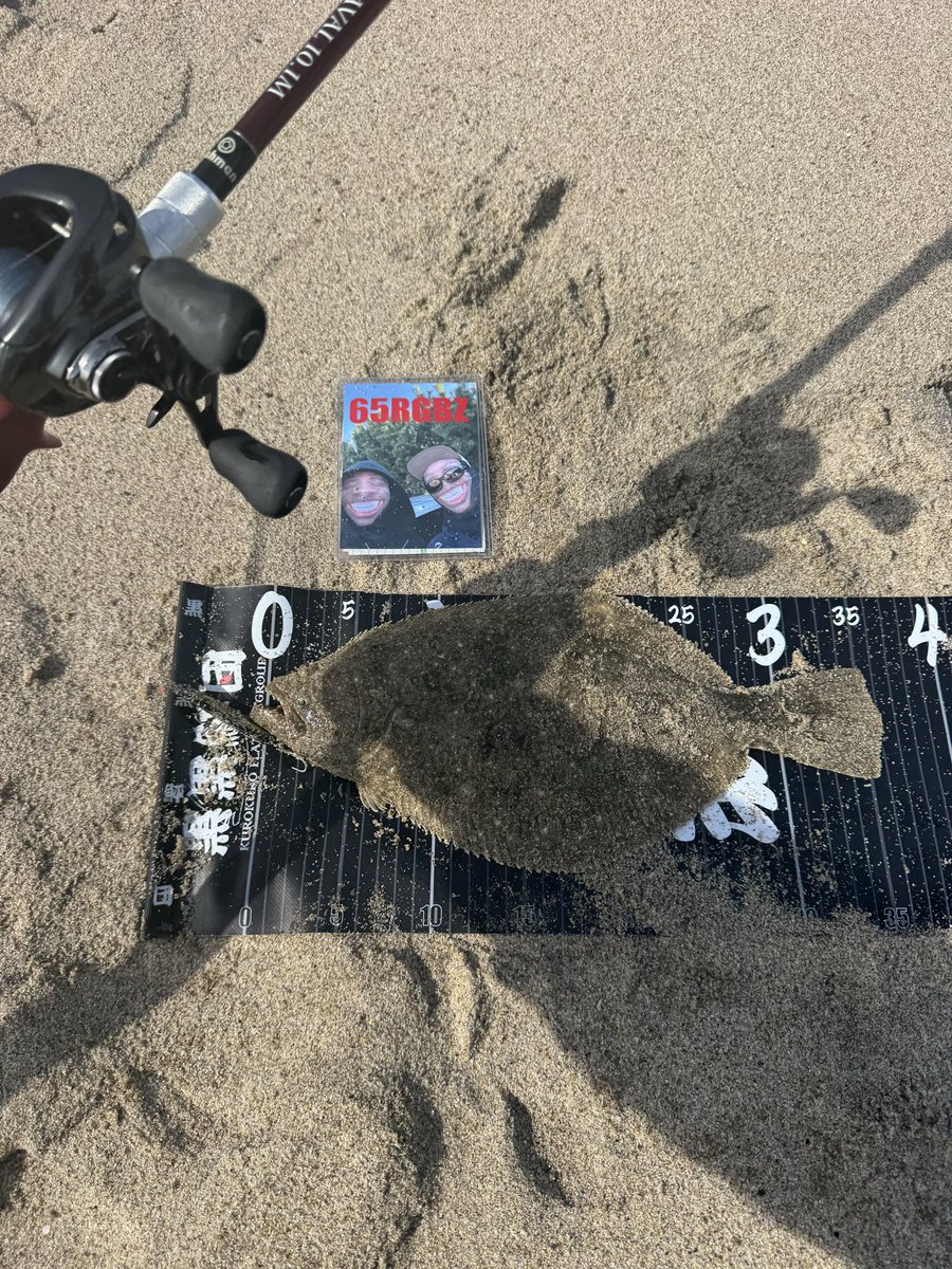 hrzn(黒黒鮃団) on X