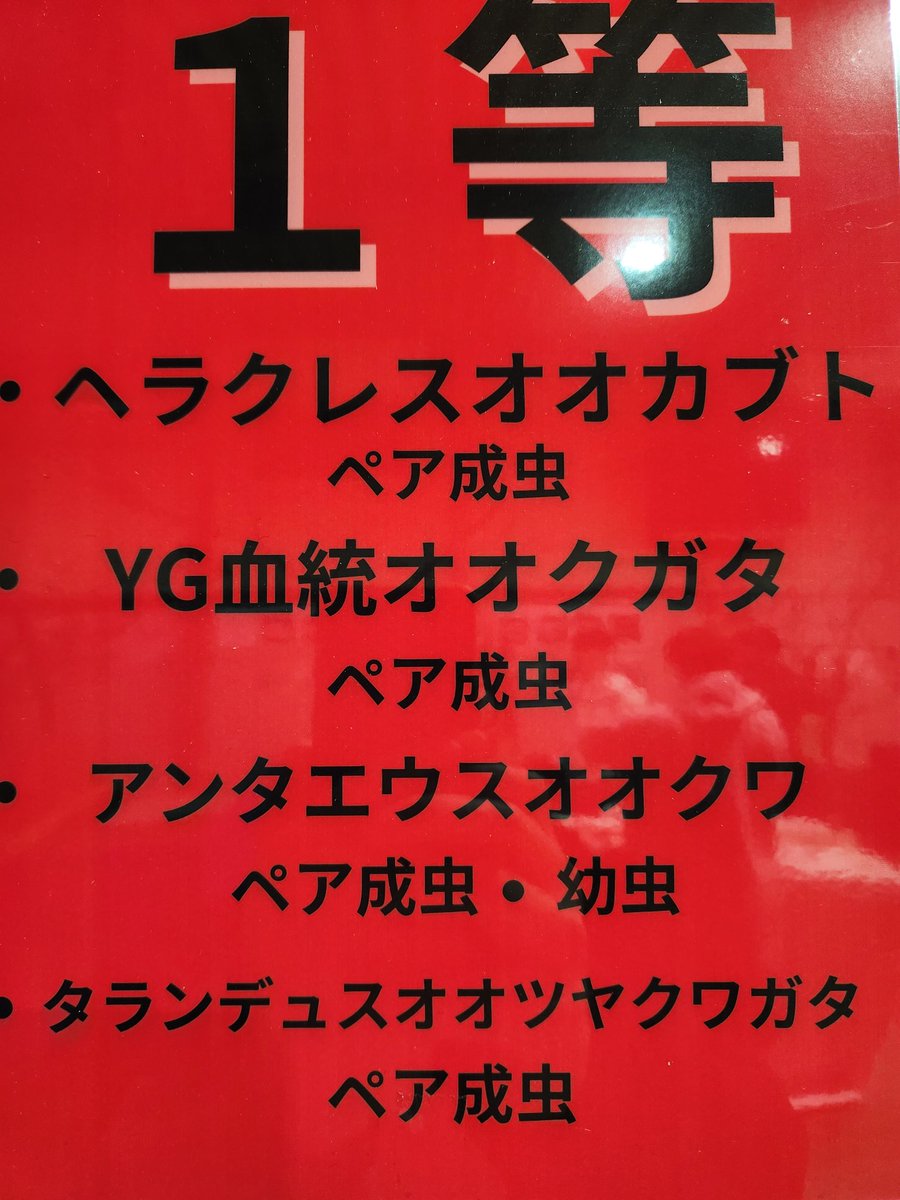 3525 (@QcpF7YLQPRjwD49) / Posts / X